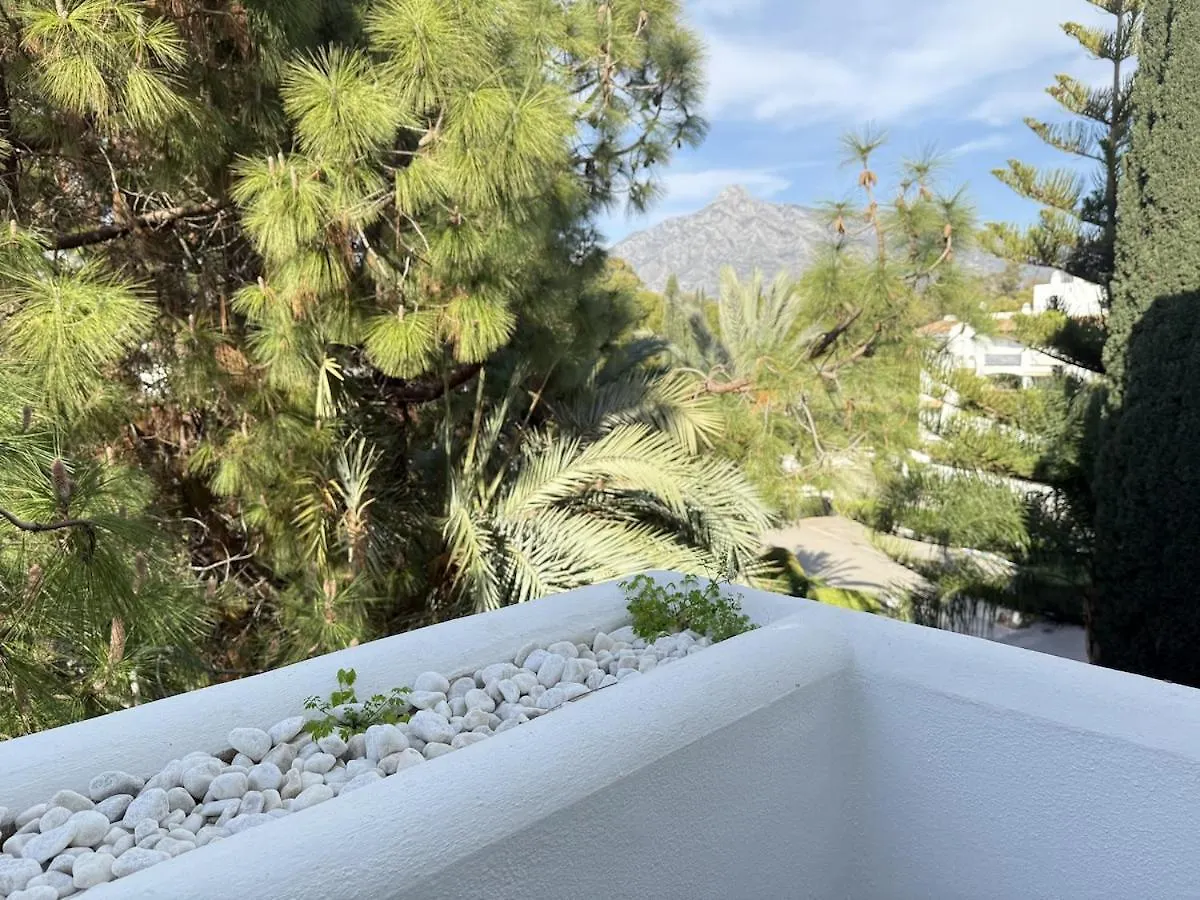 公寓 马尔韦利亚Puerto Banus Penthouse公寓